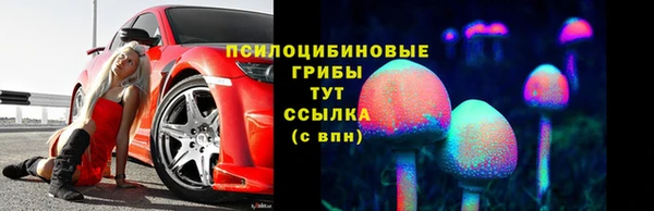 ешки Липки