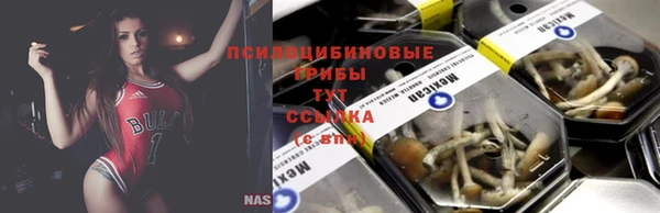 герыч Ладушкин