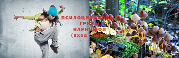 герыч Ладушкин