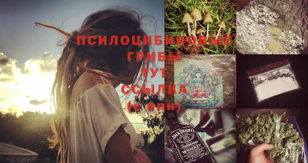 герыч Ладушкин