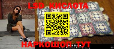 стафф Берёзовский