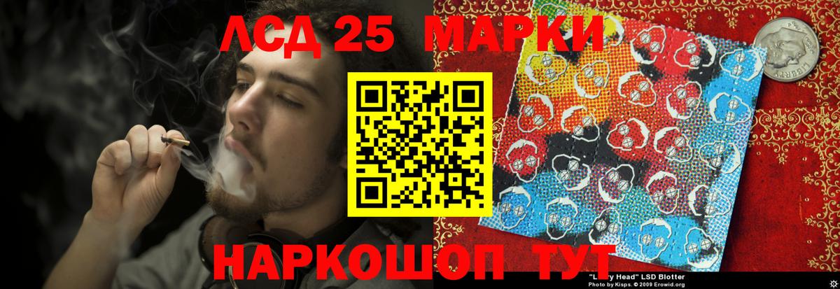 Новоалександровск  ЛСД экстази кислота  LSD-25 экстази кислота  Вход с VPN 