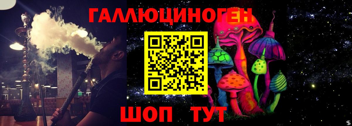 Псилоцибиновые грибы MAGIC MUSHROOMS  Вход с VPN  цена наркотик  Новоалександровск 